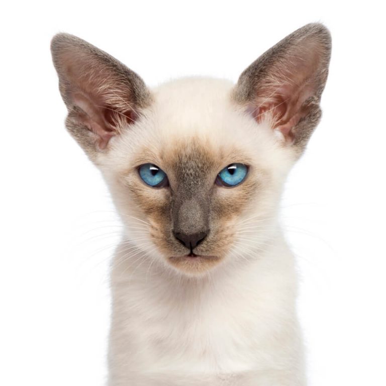 BBraun-campagne-suture